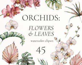 Watercolor Orchids Clipart: Tropical Flowers with white and pink orchids & Greenery (Digital Download PNG)