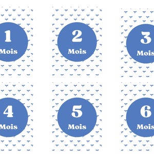 Tarjeta de hitos de 12 meses para bebé para descargar en versión digital, foto del bebé desde el nacimiento hasta 1 año. Versión de cola de ballena, marinero.
