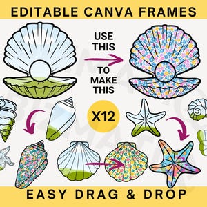 May include: An illustration featuring various seashell designs, including clamshells, starfish, and conch shells. The image includes the text "EDITABLE CANVA FRAMES" and "EASY DRAG & DROP". The design shows how to use the frames to create a floral design.