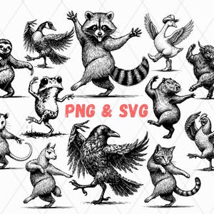 Könnte beinhalten: Schwarz-Weiß-Illustrationen verschiedener tanzender Tiere, darunter ein Waschbär, eine Gans und eine Katze. Der Text "PNG & SVG" ist im Bild enthalten. Die Tiere sind in verschiedenen Posen dargestellt, mit ausgestreckten Armen und Beinen.