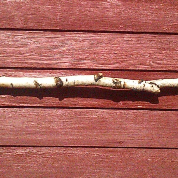 Natural Birch Branch Curtain Rod White and Brown with Knotty Markings 69"