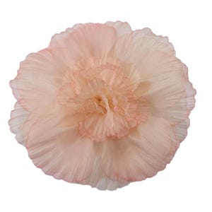 M&S Schmalberg 5&quot; Hand Dyed Opened Blossom Blush and Pink Tones Silk Flower Brooch Pin - Made in USA