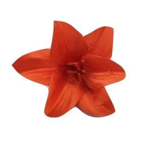 Pode incluir: Uma única flor de lírio de seda laranja.