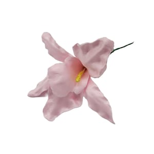 Puede incluir: Una sola flor de orquídea de seda rosa con un centro amarillo. La flor está en un tallo verde.