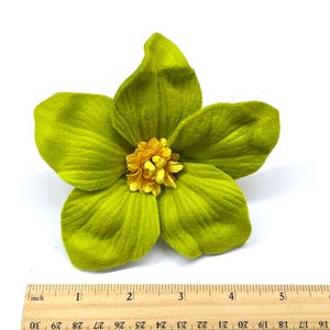 Peut inclure: Une grande fleur artificielle avec cinq p&eacute;tales vert lime et un centre jaune. Les p&eacute;tales ont une texture velout&eacute;e. Une r&egrave;gle en bois avec des marquages en pouces est au bas de l'image.