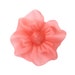 see more listings in the Camellias section