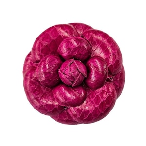 Könnte beinhalten: Eine leuchtend fuchsiafarbene Blumenbrosche mit einer strukturierten, schuppenartigen Oberfläche, die an Schlangenhaut erinnert. Das Accessoire besteht aus mehreren geschichteten, abgerundeten Blütenblättern in einer kreisförmigen Anordnung.
