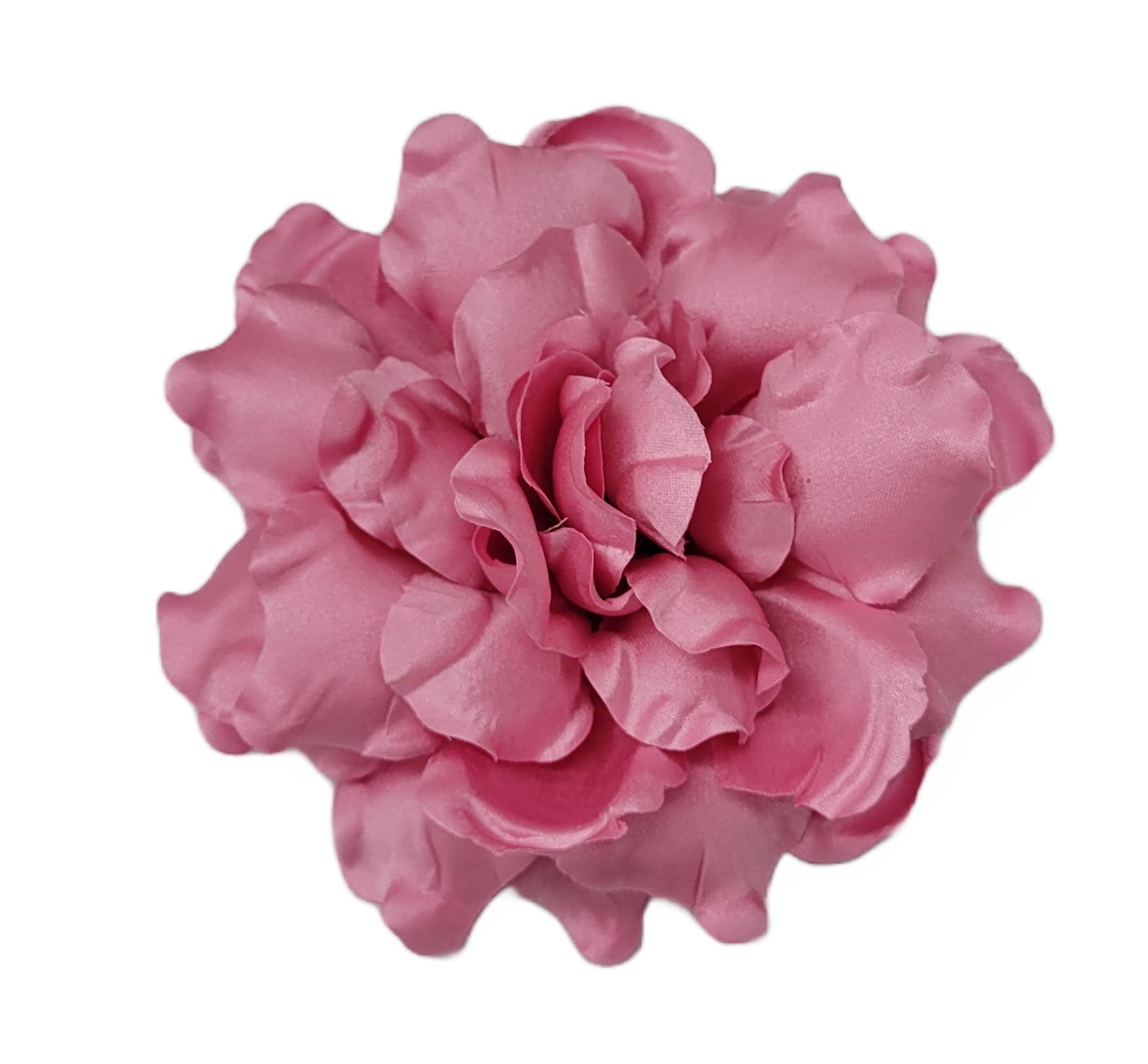 Magnolia, Fiore Rosa Su Sfondo Bianco Fotografia Stock - Immagine di Magnolia, Fiore Rosa Su Sfondo Bianco Fotografia Stock - Immagine di