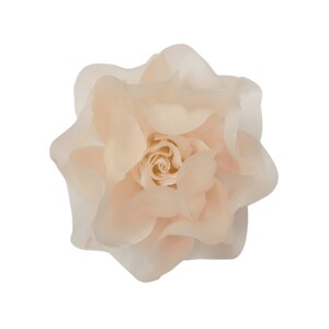 May include: A single, delicate, blush-colored rose with soft, layered petals.