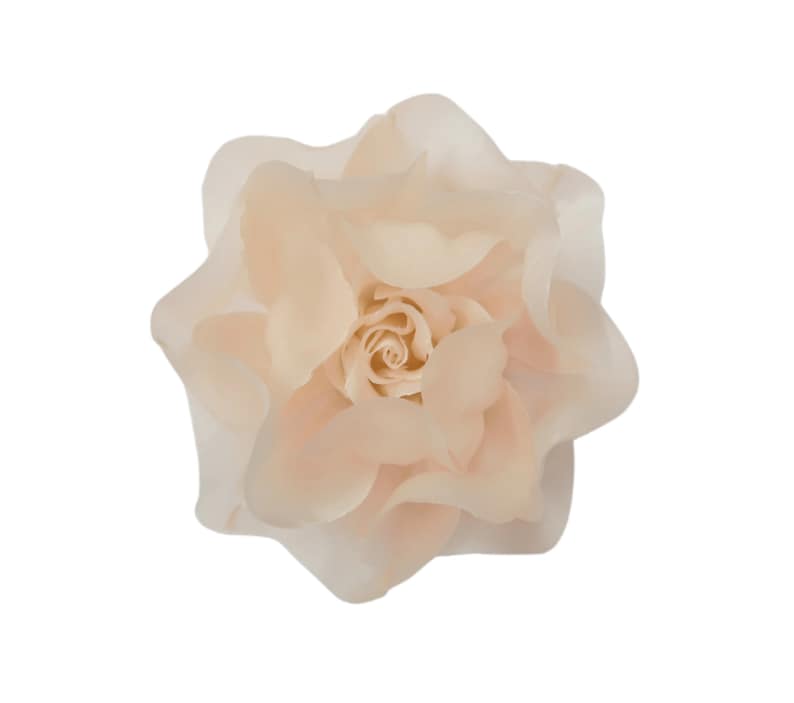 May include: A single, delicate, blush-colored rose with soft, layered petals.
