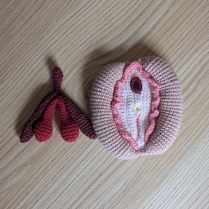 Crocheted Vulva and Clitoris – Handmade Anatomical Models in Oeko-Tex Cotton | Educational Material – Sex Education, Female Anatomy
