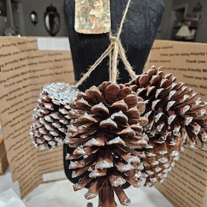 5 red large pine cones glittered