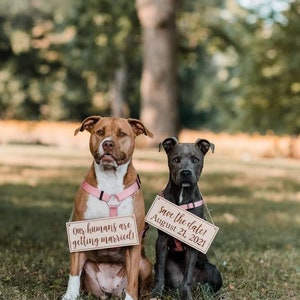 Dog Save the Date Sign, Personalized, Save the Date Photo Prop