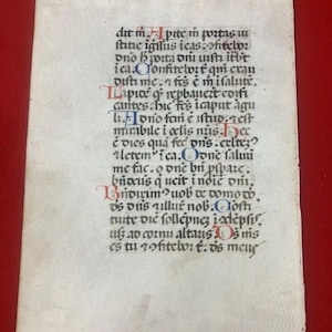 May include: A rectangular parchment manuscript page featuring dense black Latin calligraphy in a gothic script. The text is punctuated by decorative capital letters in red and blue ink, arranged in a single column on a light, textured off-white surface.