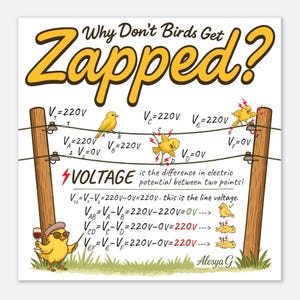 ¿Por qué no se electrocutan los pájaros? - Póster de Bellas Artes (Colección Oiseaux et Vin)