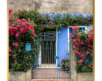 Burano Italien Fotografie Druck - Rosa Blumen, Rustikales Tor (Digitaler Download)
