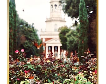 Baylor Universität Poster - Pat Neff Hall, Monarchfalter (Digitaler Download)
