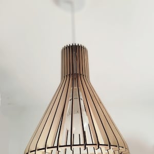 suspension 1