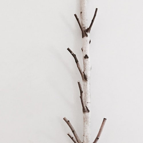 White Birch Tree Coat Rack Birch Branch Birch Pole Birch Etsy