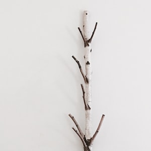 white birch tree coat rack birch branch, birch pole, birch log, trunk coat rack, coat tree, wooden hooks, modern rustic wall decor, image 1