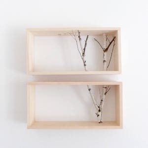 white birch forest wall art/shelf -set of 2, birch branch, framed birch art, floating shelves, display shelves, shadow box