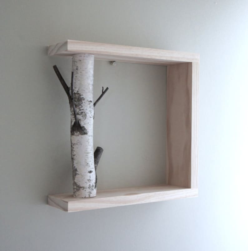 White Birch Forest Wall Art/Shelf 12x12, birch shelf, wooden shelf, framed birch art, floating shelves, display shelves, shadow box image 1