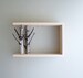 white birch forest wall art/shelf - 18x12, birch branch, framed birch art, floating shelves, display shelf 