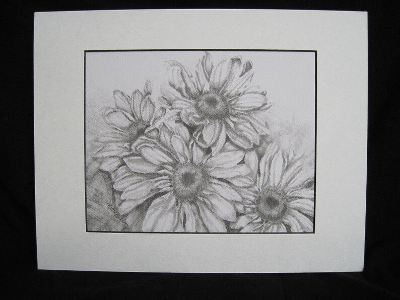 Daisies Original Drawing Matted 11 X 14 Original Graphite Etsy