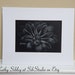 see more listings in the Flower Paintings section