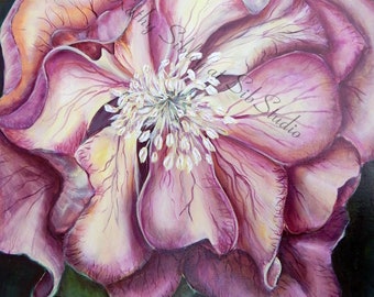 Original Purple Hellebore Painting: Floral Acrylic Artwork, 16x20 Canvas