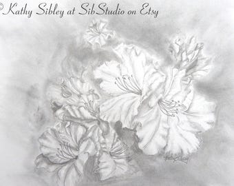 Original Azalea Graphite Drawing: Spring Flowers Pencil Art, Matted 16 x 20 inches