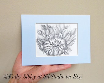 Sunrise Dahlia Drawing, Original Drawing, Matted 5 x 7 inches, Graphite Drawing, Botanical Drawing, Dahlia Drawing, Graphite Dahlia Artwork