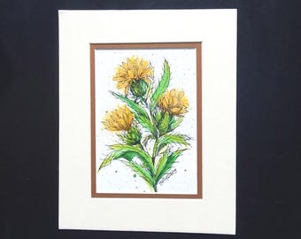 Yellow Thistle Painting, Original Pen and Ink Botanical Art, Matted, 8 x 10 inches