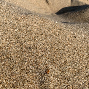 REAL Natural SAND image 5