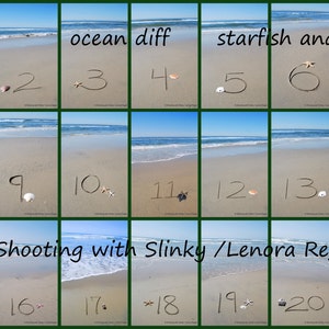 May include: A collage of 21 images showing the numbers 1 through 21 written in the sand on a beach. Each number is accompanied by a starfish or seashell. The text "ocean diff" and "starfish and shells" are written at the top of the collage. The text "Shooting with Slinky / Lenora Regan" is written in the middle of the collage.