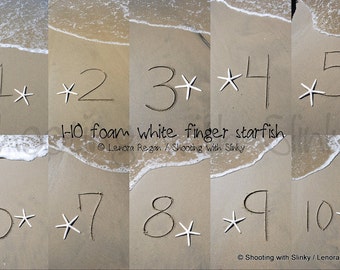 Starfish BEACH TABLE Numbers