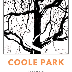 Stampa A3 di Silhouette di Albero / Opera d'Arte Originale / Design Irlandese / Galway Wild Atlantic Way / Coole Park / Platano / Gnarly / Antico / Monocromatico
