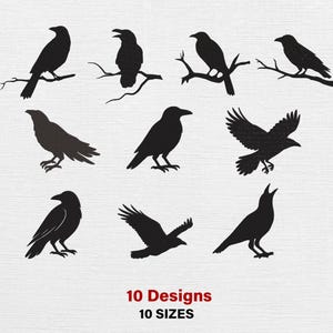 Könnte beinhalten: Eine Sammlung von zehn schwarzen Rabensilhouetten in verschiedenen Posen, darunter auf Ästen sitzend und im Flug. Der Text "10 Designs" und "10 Sizes" in Rot ist enthalten.