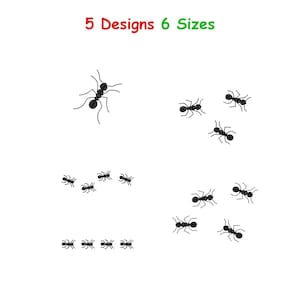 May include: A digital graphic featuring the text 5 Designs 6 Sizes in red and green, displayed above four distinct groupings of black ant illustrations. The ants are arranged in varying quantities and formations across the white background.