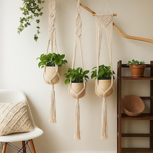 May include: Three macrame plant hangers with green plants in pots. The hangers are made of natural cotton rope and have a tassel at the bottom. The hangers are hanging from a wooden branch.