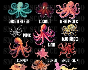 12 Types of Octopuses Educational PNG Design, Octopus Species, Marine Life Art for T-shirts, Mugs & More - Transparent Background