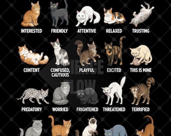 4 Cat Body Language PNG Designs Transparent Background, Labeled Cat Behavior Educational Design