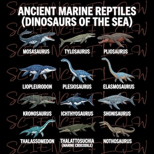 May include: A black graphic showing illustrations of ancient marine reptiles such as Mosasaurus, Tylosaurus, and Pliosaurus. The text reads "ANCIENT MARINE REPTILES (DINOSAURS OF THE SEA)" with each reptile's name below.