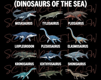 Ancient Marine Reptiles PNG Design – Dinosaurs of the Sea – Transparent Background Educational Illustration