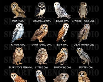 16 Types of Owls Educational PNG Design, Owl Species, Birdwatching Art for T-shirts, Mugs & More - Transparent Background