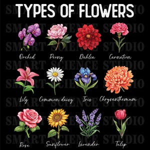 Blomtyper | Färgglada botaniska blomtyper PNG-design Transparent bakgrund Pedagogisk vetenskapsdesign för barn