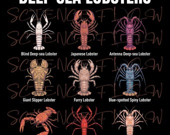 Lobster T-Shirt Design Set – Types of Lobsters & Deep Sea Lobsters Scientific Illustration PNG