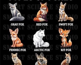 9 Types of Foxes Chart – Cute Fox Species Illustration PNG for Kids, Educational Animal Design Transparent Background Fox Species Fox Types