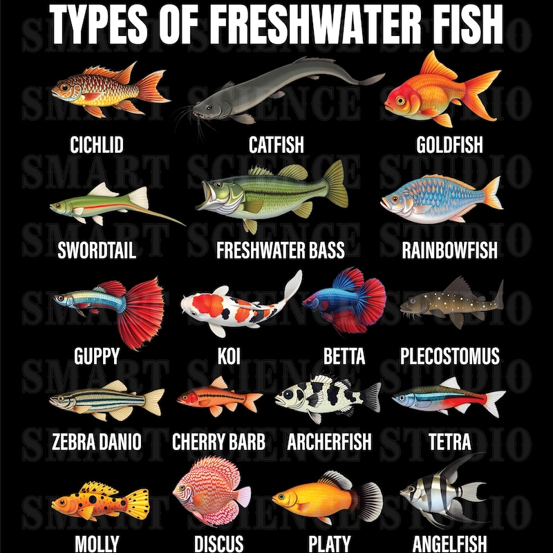 Aquarium Fish Poster Etsy aquarium-fish-poster-etsy