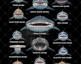 Types of Sharks PNG Designs Transparent Background, Shark Species Educational Design for T-Shirts